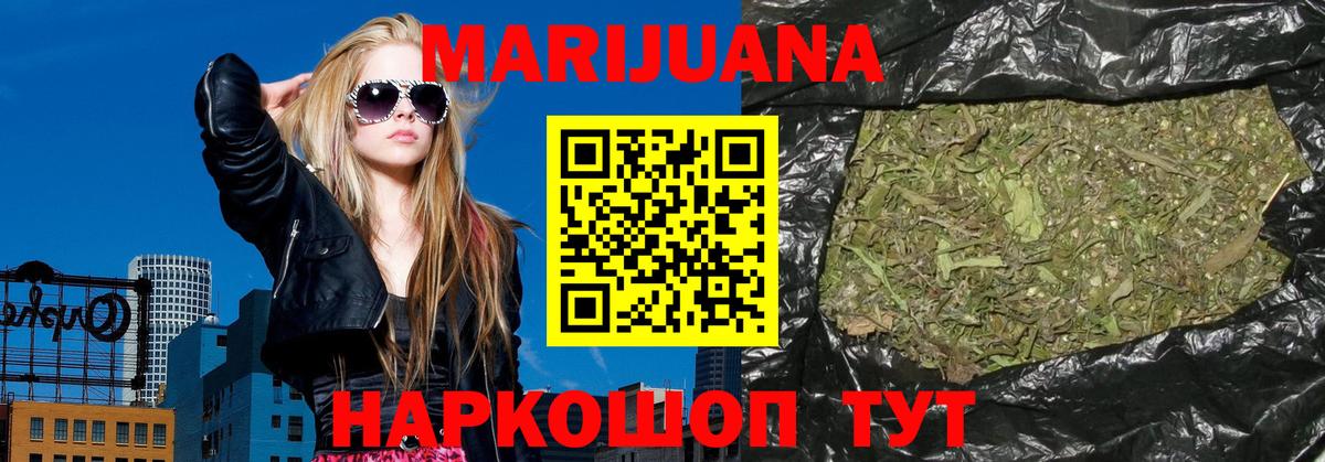 Конопля сатива Крымск